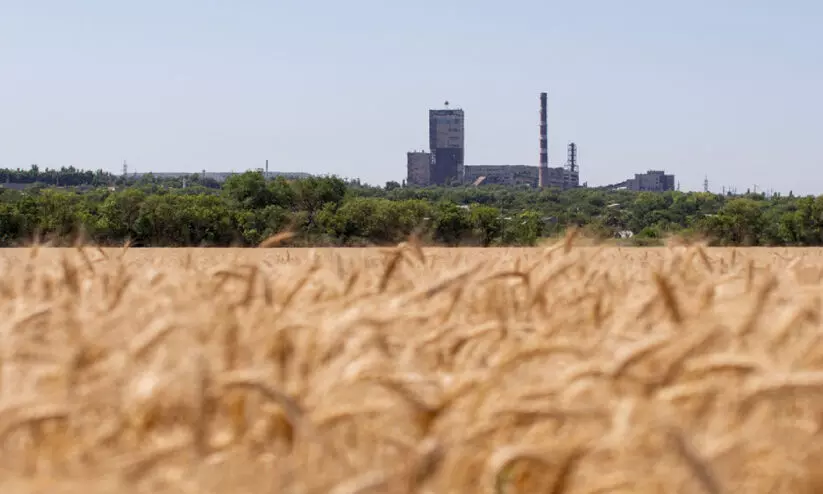 ഭക്ഷ്യക്ഷാമം നേരിടാൻ കരുതൽ ശേഖരത്തിനൊരുങ്ങി യുക്രെയ്ൻ ഭക്ഷ്യക്ഷാമം നേരിടാൻ കരുതൽ ശേഖരത്തിനൊരുങ്ങി യുക്രെയ്ൻ