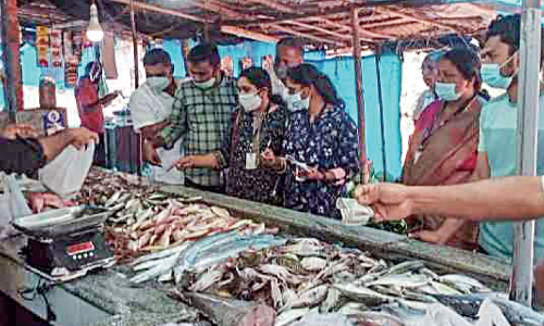 ഗുണമേന്മയില്ലാത്ത മത്സ്യവിൽപന; ഫോർമാലിൻ, അമോണിയ കൂടുതലുള്ള മത്സ്യങ്ങൾ നശിപ്പിച്ചു