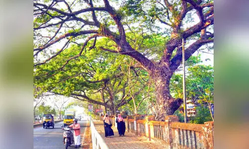 പകൽ കത്തുന്നു; തണൽ തേടി കോഴിക്കോട് നഗരം