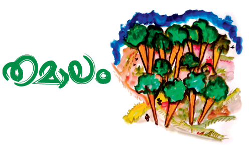 തമാലം -കഥ വായിക്കാം