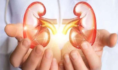 മാലിന്യം ശേഖരിച്ച് വിറ്റ് പണം സമാഹരിച്ചു; വൃക്കരോഗിക്ക് കൈമാറി