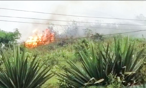 രാമക്കൽമേട് വിനോദസഞ്ചാര കേന്ദ്രത്തിൽ കാട്ടുതീ
