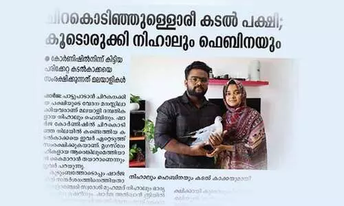 അവശനിലയിൽ കണ്ടെത്തിയ കടൽക്കാക്കയെ കൈമാറി
