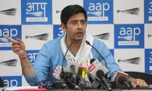 പഞ്ചാബിൽ ആപിന്റെ തെരഞ്ഞെടുപ്പ് ​തേരോട്ടം നടത്തിയ യുവനേതാവിനെ അറിയാം