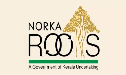 norka roots