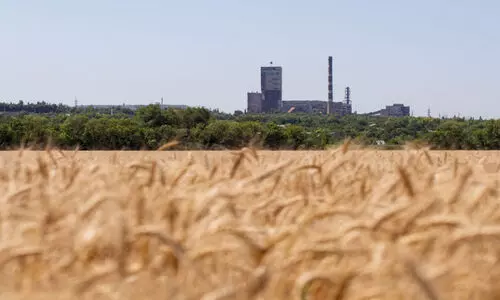 ഭ​ക്ഷ്യ​ക്ഷാ​മം നേ​രി​ടാ​ൻ ക​രു​ത​ൽ ശേ​ഖ​ര​ത്തി​നൊ​രു​ങ്ങി യു​ക്രെ​യ്ൻ