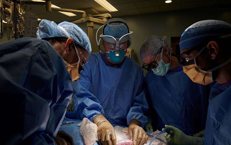 അഞ്ചുവയസ്സുകാരന്റെ വൃക്ക മാറ്റിവെക്കല് വിജയം അഞ്ചുവയസ്സുകാരന്റെ വൃക്ക മാറ്റിവെക്കല് വിജയം