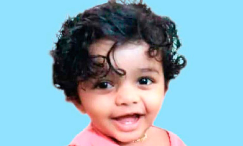 നെല്ലിക്ക തൊണ്ടയിൽ കുടുങ്ങി ഒന്നര വയസ്സുകാരൻ മരിച്ചു നെല്ലിക്ക തൊണ്ടയിൽ കുടുങ്ങി ഒന്നര വയസ്സുകാരൻ മരിച്ചു