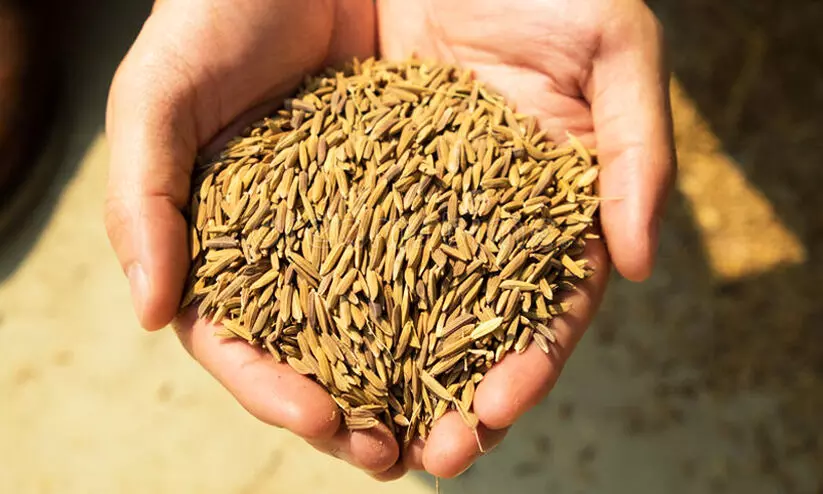 Kerala Budget 2022, paddy rice