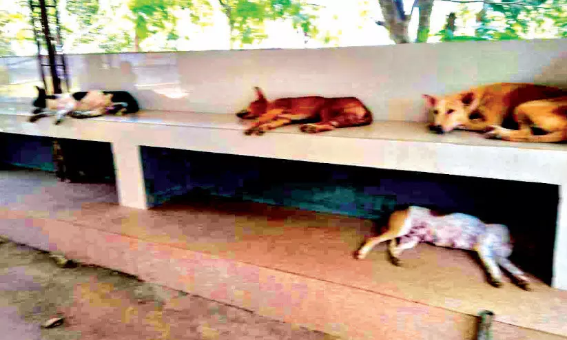 kumaranellur PHC kumaranellur PHC