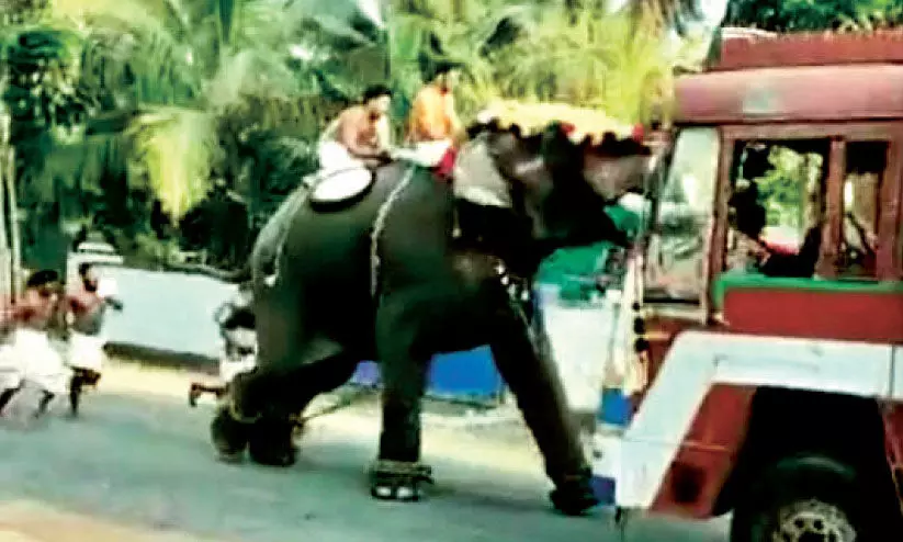 ഉത്സവത്തിനിടയിൽ ആന ഇടഞ്ഞു ഉത്സവത്തിനിടയിൽ ആന ഇടഞ്ഞു