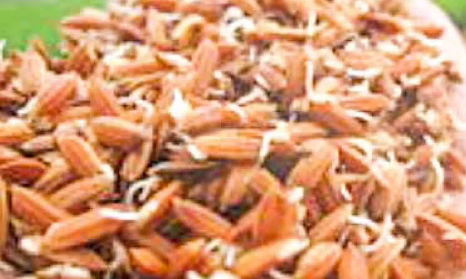 നെൽവിത്ത് ഉൽപാദനത്തിൽ നേട്ടം കൊയ്ത് കരിമണ്ണൂർ ഫാം