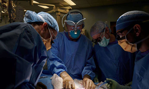 അഞ്ചുവയസ്സുകാരന്‍റെ വൃക്ക മാറ്റിവെക്കല്‍ വിജയം