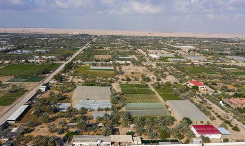 കാലി-കാര്‍ഷിക മേഖലയില്‍ അബൂദബിയുടെ കുതിപ്പ്