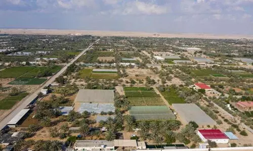 കാലി-കാര്‍ഷിക മേഖലയില്‍ അബൂദബിയുടെ കുതിപ്പ്