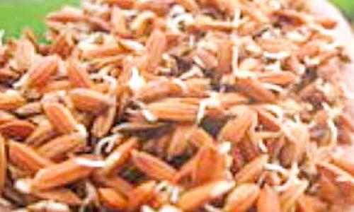 നെൽവിത്ത് ഉൽപാദനത്തിൽ നേട്ടം കൊയ്ത് കരിമണ്ണൂർ ഫാം നെൽവിത്ത് ഉൽപാദനത്തിൽ നേട്ടം കൊയ്ത് കരിമണ്ണൂർ ഫാം