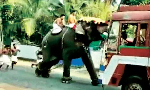 ഉത്സവത്തിനിടയിൽ ആന ഇടഞ്ഞു