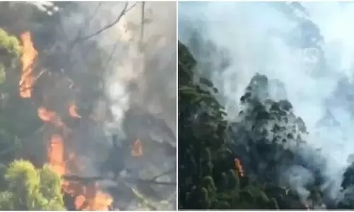 കൊടൈക്കനാൽ മലനിരകളിൽ തീപിടുത്തം; വിഡിയോ വൈറൽ