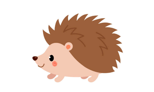 hedgehog