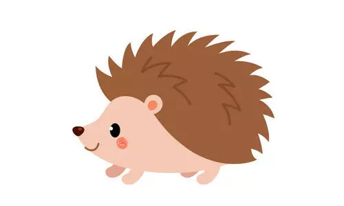hedgehog