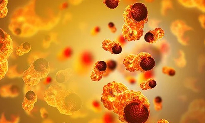 യുവജനങ്ങളിൽ അർബുദ ബാധ കൂടുന്നതായി ഐ.സി.എം.ആർ പഠനം; കൂടുതൽ സ്ത്രീകളിൽ യുവജനങ്ങളിൽ അർബുദ ബാധ കൂടുന്നതായി ഐ.സി.എം.ആർ പഠനം; കൂടുതൽ സ്ത്രീകളിൽ