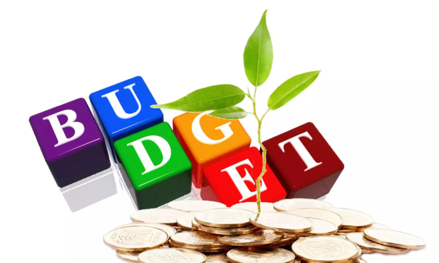 Kerala Budget 2022, agricultural sector