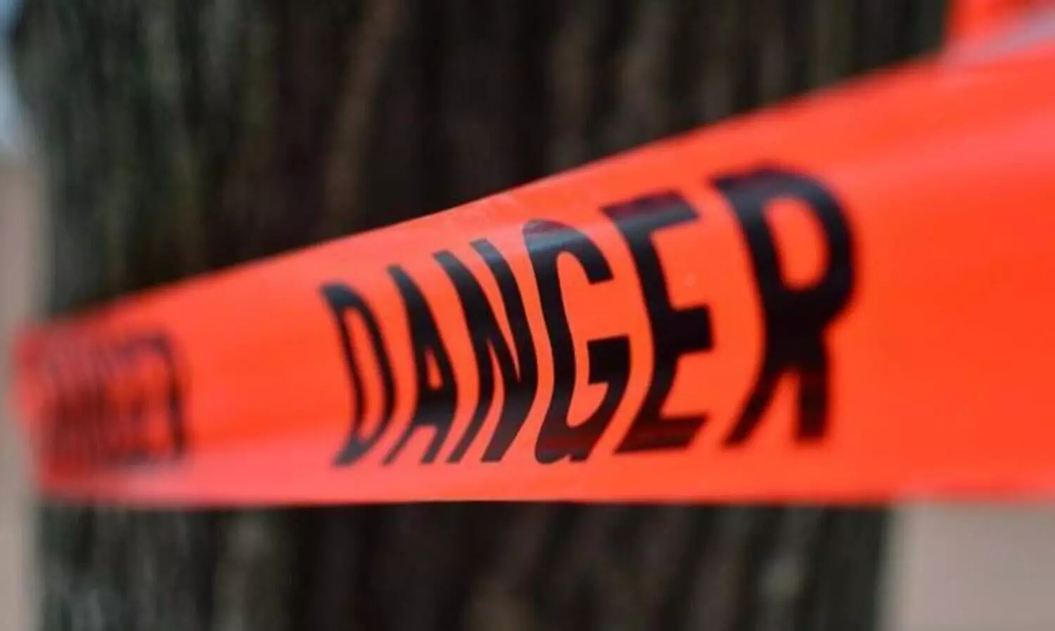 മാങ്കുളത്ത് വിനോദസഞ്ചാരികളുടെ ജീവനെടുത്ത് വെളളച്ചാട്ടങ്ങളും പുഴകളും