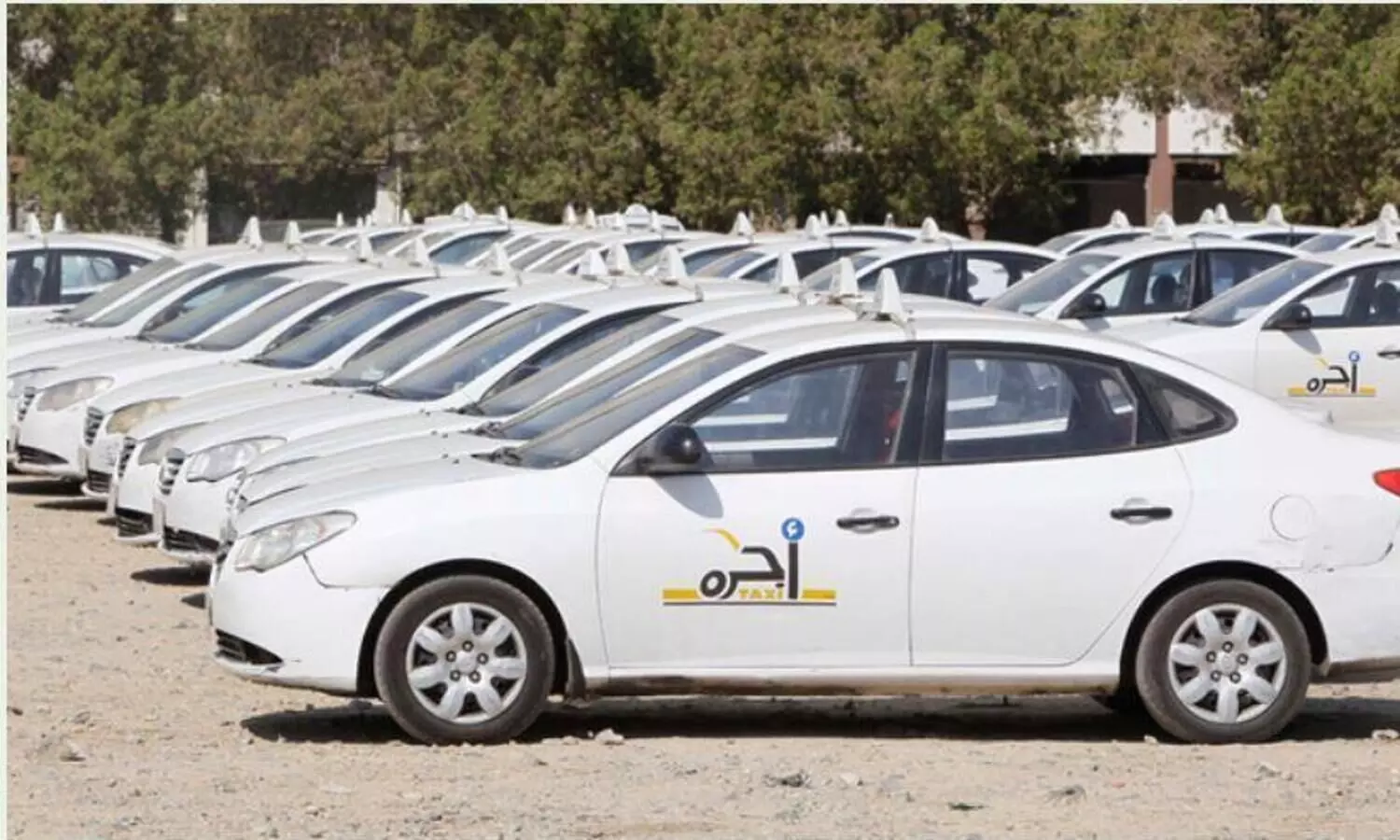 saudi arabia taxi