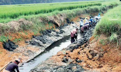 Valluikkunnu Punchappadam Valluikkunnu Punchappadam