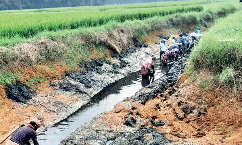 Valluikkunnu Punchappadam