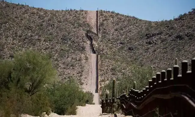 പാന്റിനുള്ളിൽ പാമ്പുകളെയും പല്ലിയെയും മോഷ്ടിച്ചു കടത്തിയ യു.എസ് പൗരൻ അറസ്റ്റിൽ