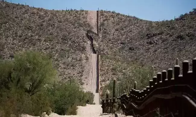 പാന്റിനുള്ളിൽ പാമ്പുകളെയും പല്ലിയെയും മോഷ്ടിച്ചു കടത്തിയ യു.എസ് പൗരൻ അറസ്റ്റിൽ