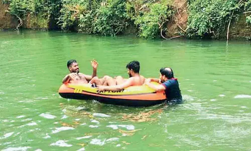 Pallangattuchira pool