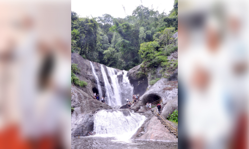 കുംഭാവുരുട്ടി വിനോദസഞ്ചാര കേന്ദ്രം നവീകരിക്കാൻ നടപടി