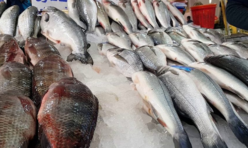 മത്സ്യവിപണിയിൽ പരിശോധന