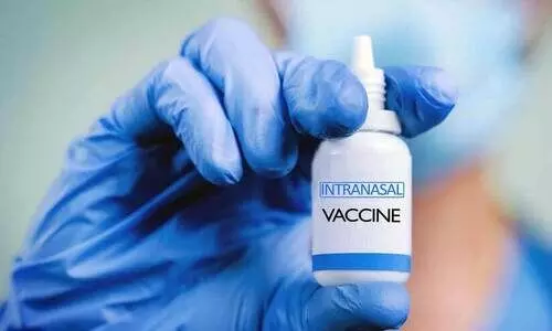 Intra Nasal Vaccine