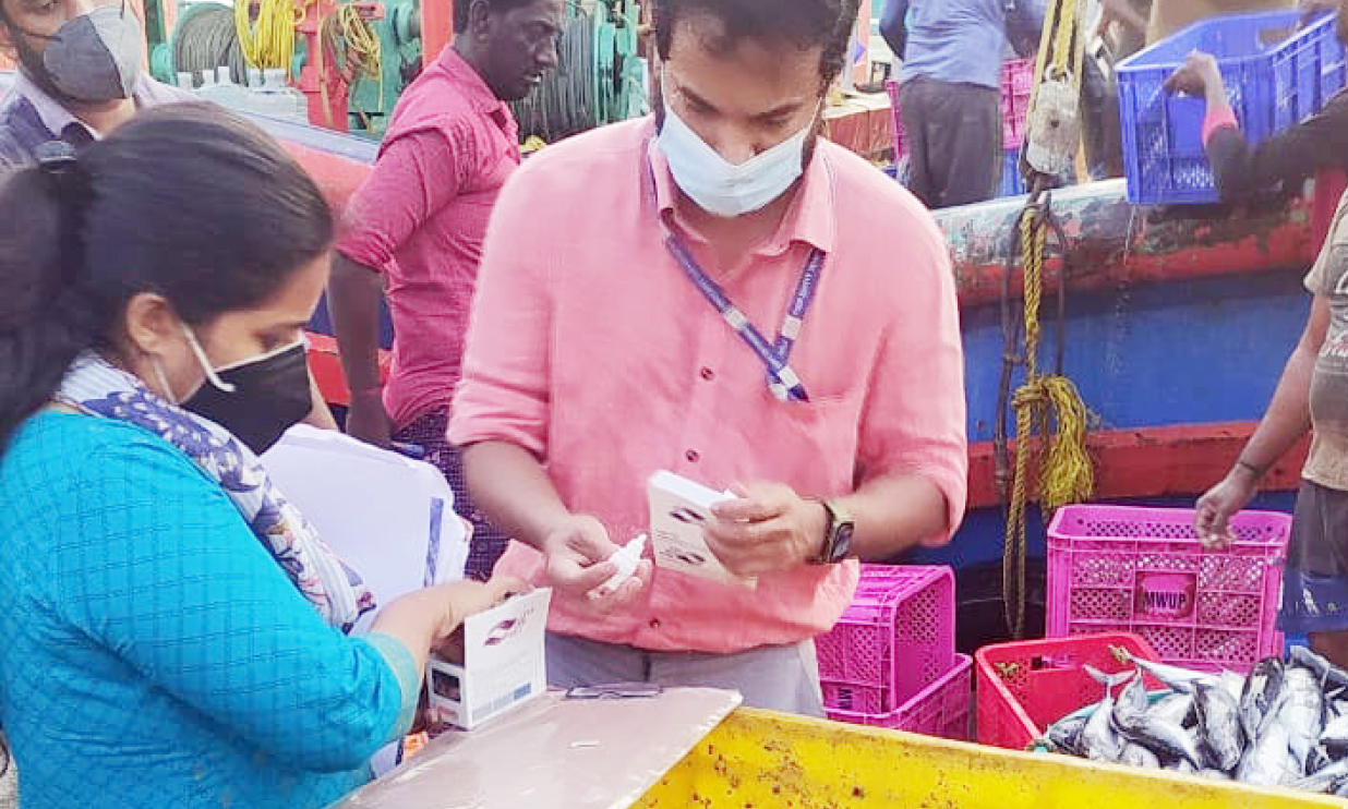 മീനിൽ രാസവസ്തു: പരിശോധനക്ക് സ്പെഷൽ സ്ക്വാഡ് മീനിൽ രാസവസ്തു: പരിശോധനക്ക് സ്പെഷൽ സ്ക്വാഡ്