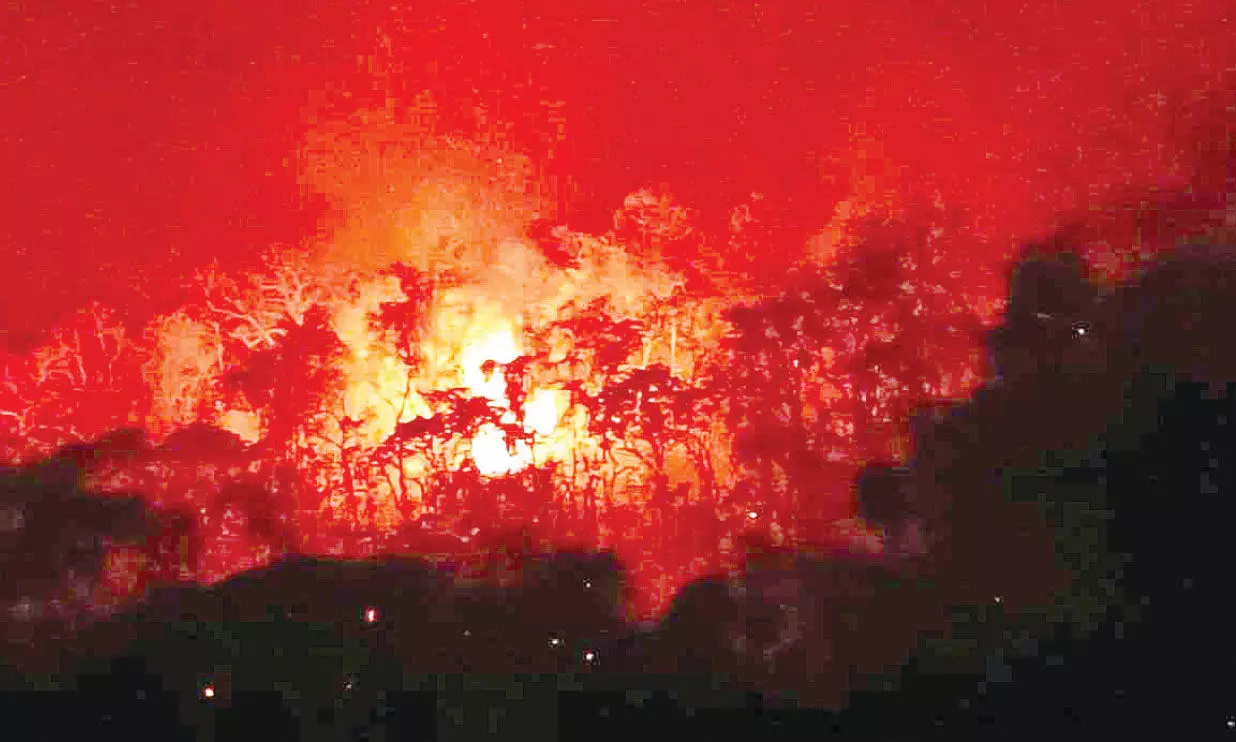 കോർമലയിൽ വൻ കാട്ടുതീ കോർമലയിൽ വൻ കാട്ടുതീ