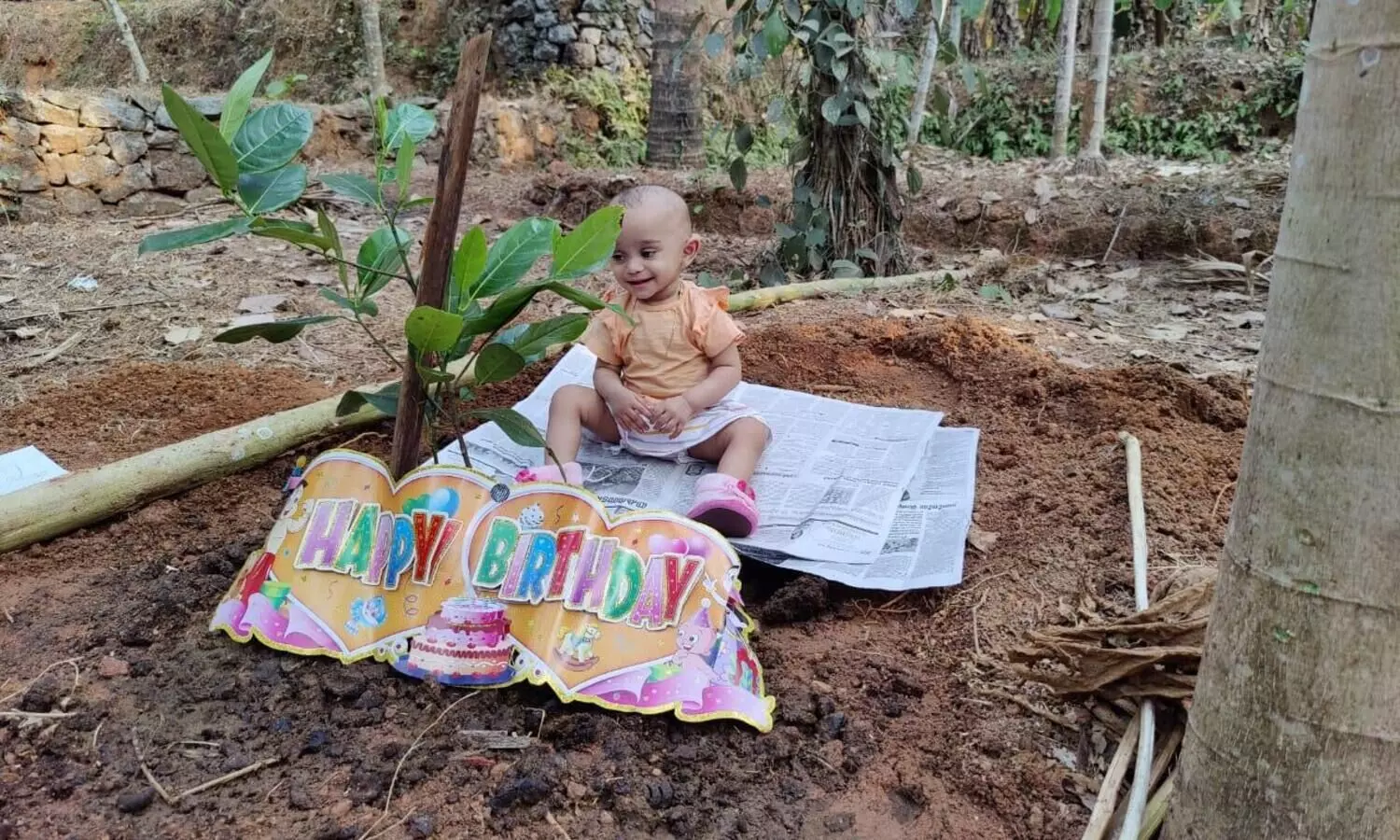 കേക്കിനു പകരം പ്ലാവിൻ തൈ നട്ട് ഒരുവയസുകാരിയുടെ പിറന്നാള്‍ ആഘോഷം