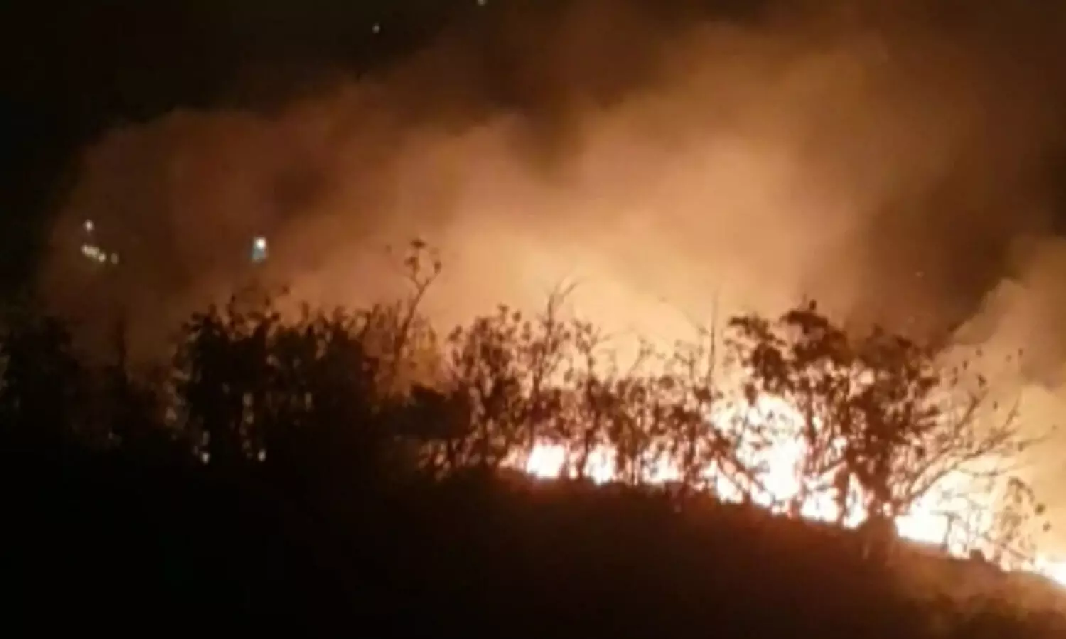 മുട്ടിൽ മാണ്ടാട്ട് തീപ്പിടിത്തം; പത്ത് ഏക്കറിലധികം കത്തിനശിച്ചു