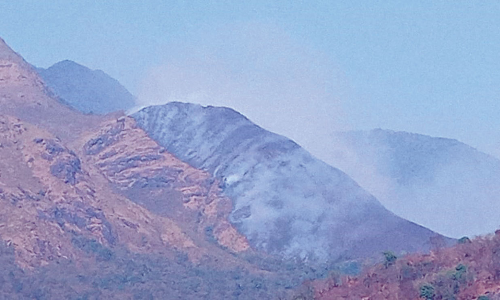 banasura hill fire