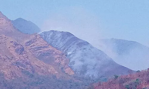 banasura hill fire