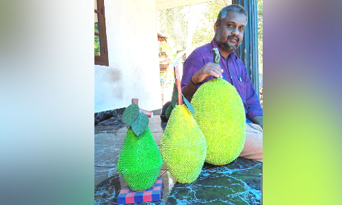 സനിലിന്റെ കരവിരുതിൽ ചക്കയും വിളയും