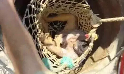 ചേങ്കോട്ടുകോണത്ത് കിണർ ഇടിഞ്ഞുവീണ് അപകടത്തിൽപ്പെട്ട തൊഴിലാളിയെ രക്ഷപ്പെടുത്തി