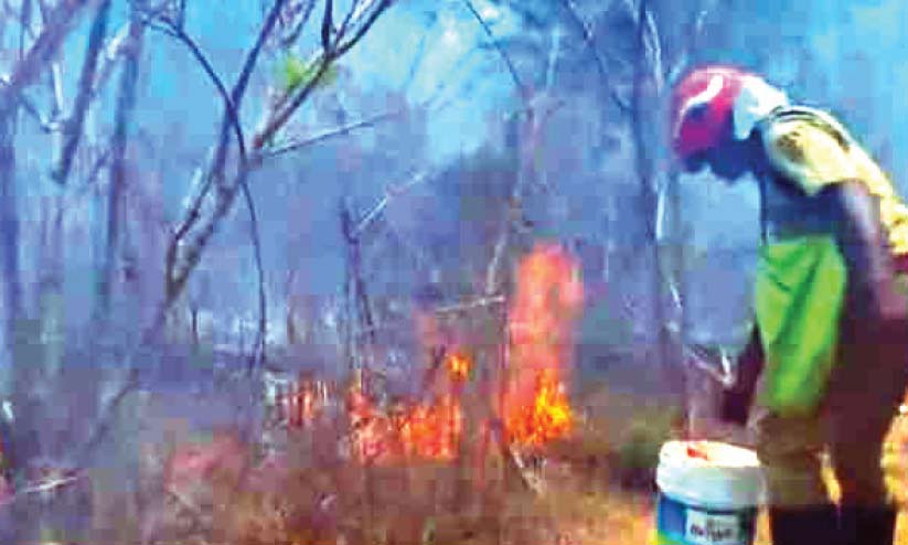 പള്ളിപ്പൊയിലിൽ തീപിടിത്തം പള്ളിപ്പൊയിലിൽ തീപിടിത്തം