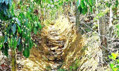 വീടണയാൻ വഴിയില്ലാതെ നമ്പൂതിരി കോളനി വാസികൾ