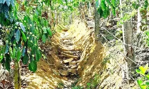 വീടണയാൻ വഴിയില്ലാതെ നമ്പൂതിരി കോളനി വാസികൾ