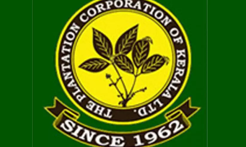 plantation corporation