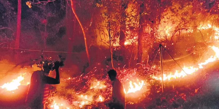 സൈലന്റ് വാലിയിലെ കാട്ടുതീ സ്വയമേവ ഉണ്ടായതല്ലെന്ന് വൈൽഡ് ലൈഫ് വാർഡൻ