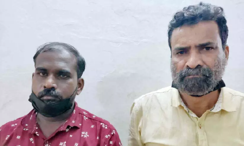 കാട്ടുപന്നി ഇറച്ചിയുമായി രണ്ടു പേർ അറസ്റ്റിൽ കാട്ടുപന്നി ഇറച്ചിയുമായി രണ്ടു പേർ അറസ്റ്റിൽ